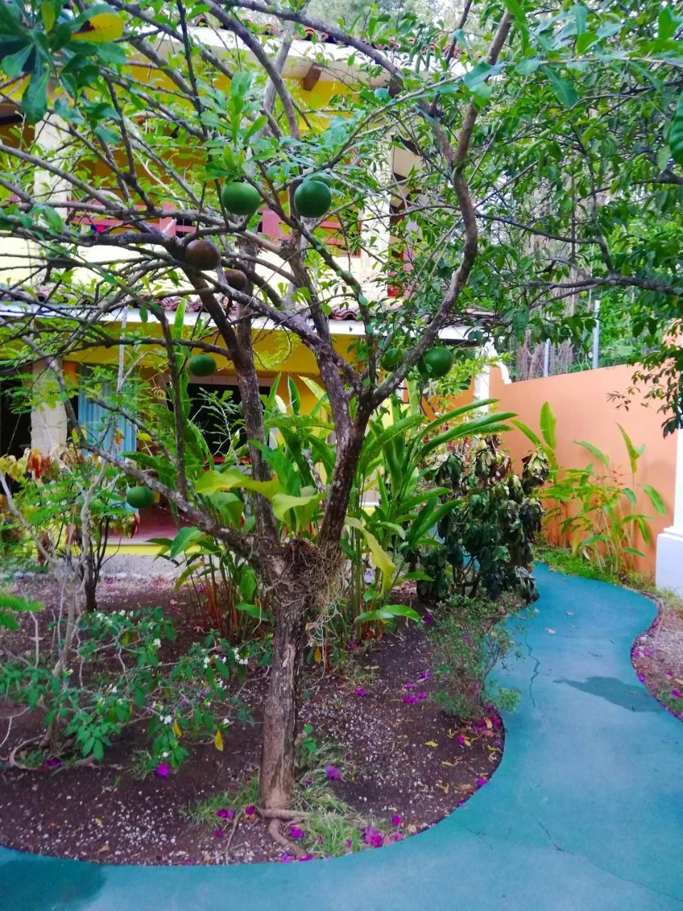 Villas Verdes Samara Bagian luar foto